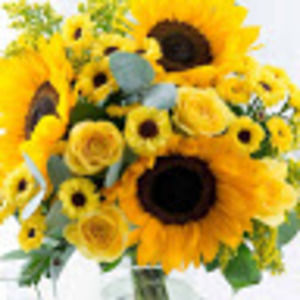 Meet your Posher, Kelsie